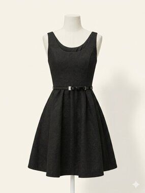 Princess Vera Wang Fit & Flare Embossed Shimmery Dress with Belt Size 0 -  EUC
